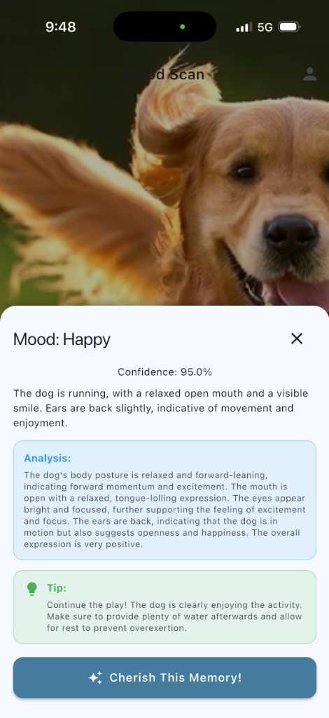 Mood Scan Interface