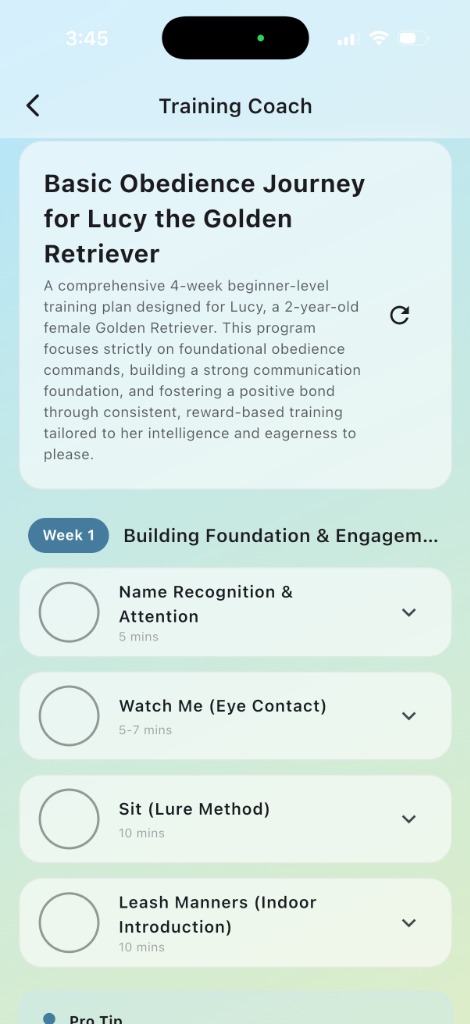 Training Coach Interface